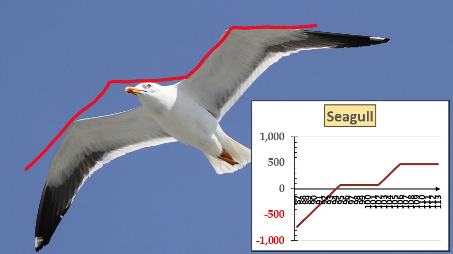 Read more about the article CFA Level 3: Options – Seagull strategy