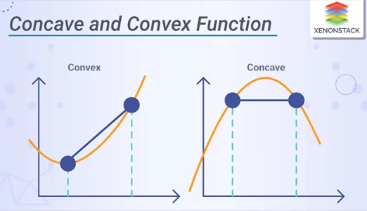 3 convex concave